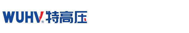 武漢(hàn)特高(gāo)壓電力科(kē)技有(yǒu)限公(gōng)司